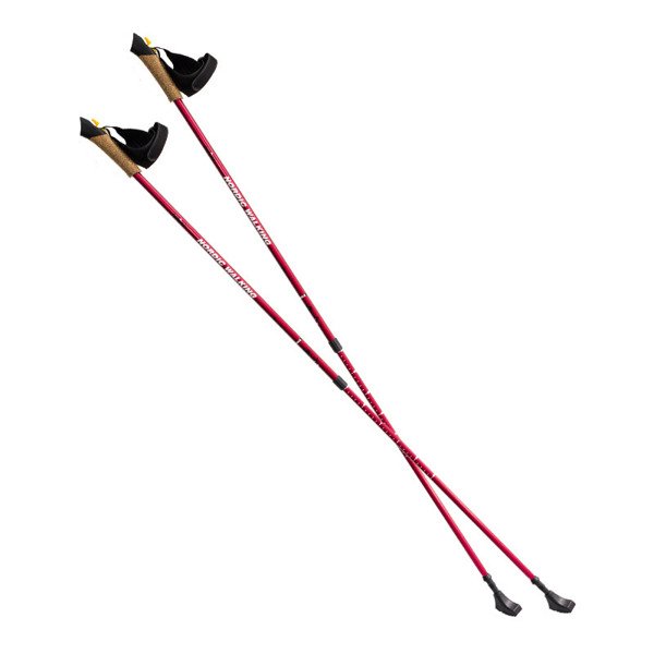 Kije nordic walking niebieskie NW607 Nils Extreme
