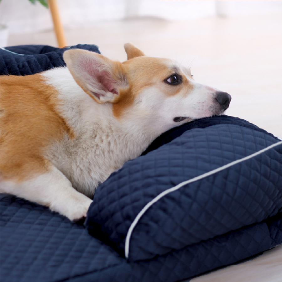 Legowisko posłanie dla psa z poduszką welurowe