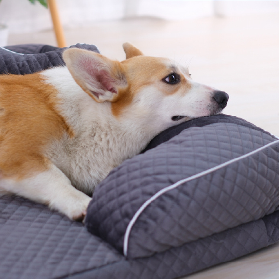 Legowisko posłanie dla psa z poduszką welurowe