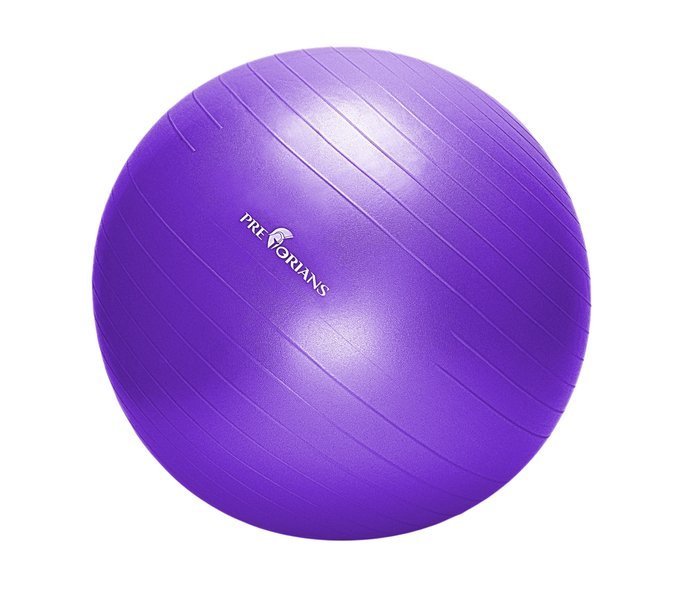 Piłka gimnastyczna anti burst 65 cm fioletowa Pretorians