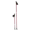 Kije nordic walking NW802 Nils Extreme