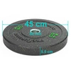 Talerz obciążenie olimpijskie 10kg Bumper Pretorians