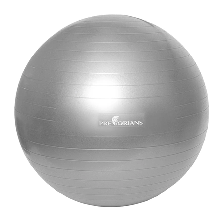 Piłka gimnastyczna anti burst 65 cm szara Pretorians z pompką