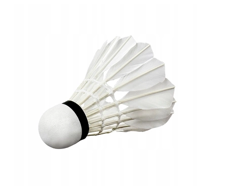 Zestaw rakiet z lotką WISH ALUMTEC