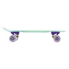 Deskorolka NILS EXTREME Pennyboard Mint