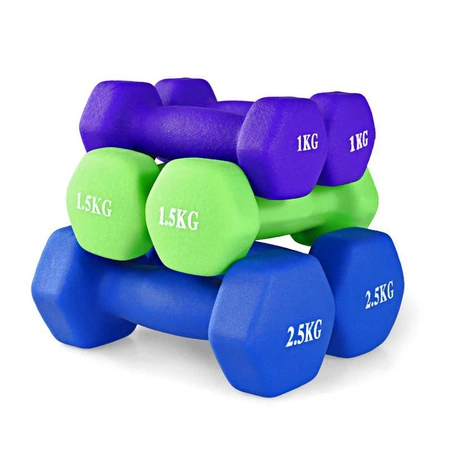 Zestaw 6 ciężarków żeliwnych pokrytych neoprenem w walizce 10kg HW10 Pretorians