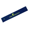 Guma mini band MB-3 niebieska 0,9 mm taśma oporowa 13-17 kg Pretorians