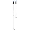 Kije nordic walking NW602 Nils Extreme