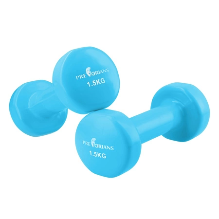 Hantle żeliwne 2 × 1,5 kg – zestaw hantli do treningu domowego