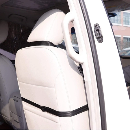 Transporter dla psa do auta - brązowy fotelik podróżny