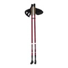 Kije nordic walking NW802 Nils Extreme