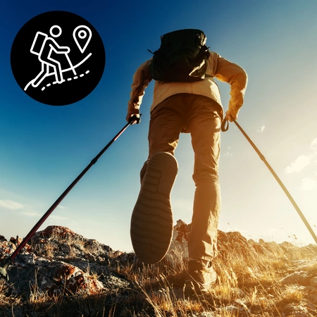 Kije trekkingowe do chodzenia kijki nordic walking niebieskie 2szt.