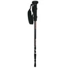 Kije trekking / nordic walking NW-TK30 LED Nils Extreme