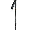 Kije trekking trekkingowe TK305 Nils Extreme