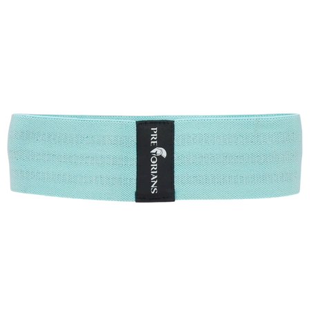 Guma hip blueband do ćwiczeń Pretorians S