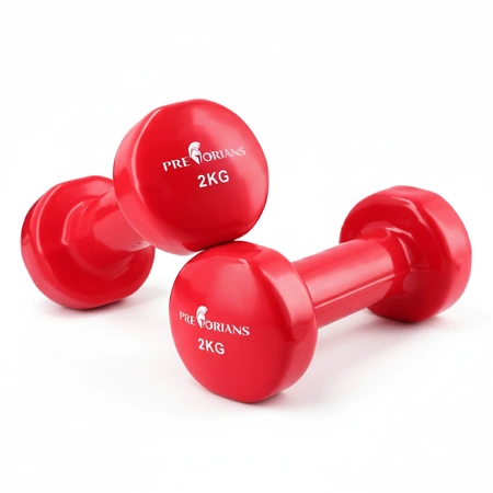 Hantle żeliwne 2 × 2 kg – winylowe hantle do ćwiczeń w domu