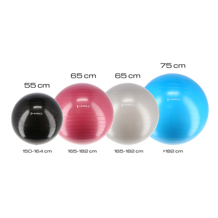 YB01 piłka gimnastyczna do ćwiczeń śliwkowa antiburst 65cm