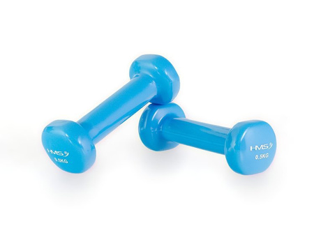 Ciężarek żeliwny 0,5 kg pokryty winylem HMS