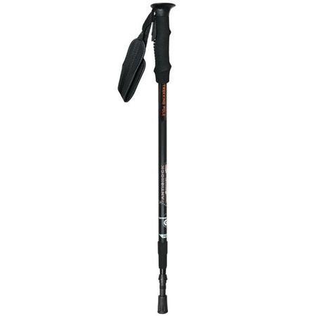 Kije trekking trekkingowe TK305 Nils Extreme