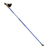 Kije nordic walking niebieskie NW607 Nils Extreme